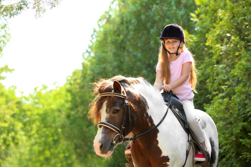 Poney club à Saint-Langis lès Mortagne