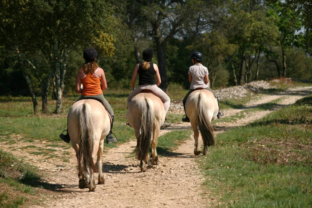 Ballade à cheval à Saint-Langis lès Mortagne