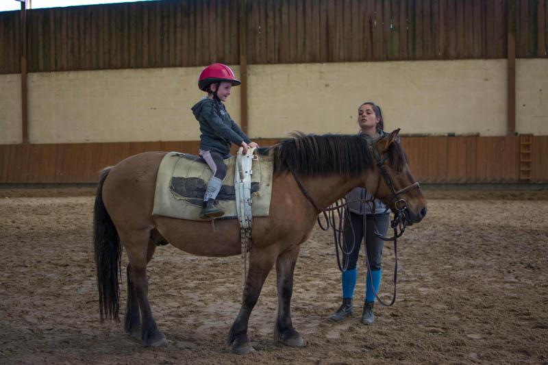 Cours de poney