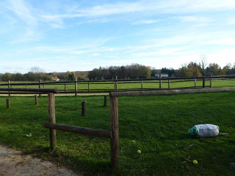 Haras de la chéchinière