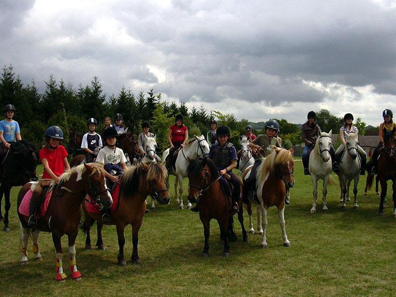 Cours d'équitation