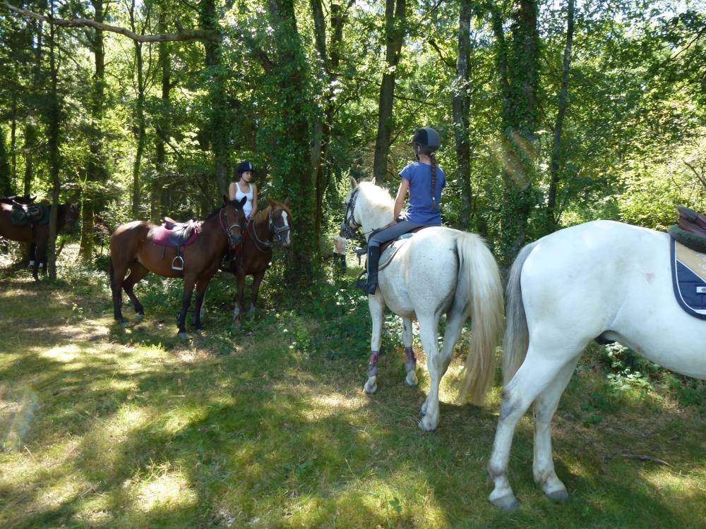 BALADE EN FORET DE LA TRAPPE -min
