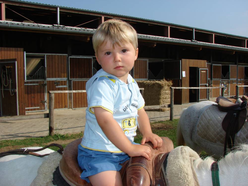 LE VABY PONEY -min
